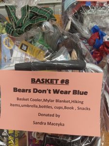 Bears don't wear Blue cooler, blanket, misc. hiking items